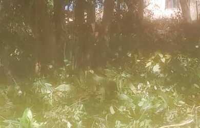 Imagem 2: Lotes de 300 mts