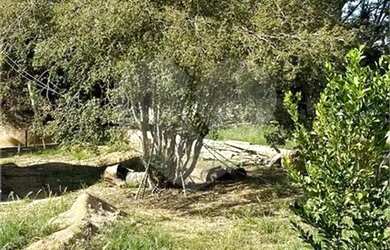 Imagem 6: Chácara à venda em Chácara Alvorada - SP