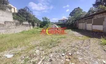 Imagem 5: Área 3.423 Metros Comercial na AV. Otavio Braga de Mesquita