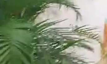 Imagem 4: Oportunidade/Investimento ou Moradia!!!Augusta Mota.