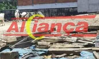 Imagem 5: Excelente terreno