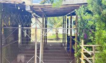 Imagem 5: Salão - Taquaral - Campinas