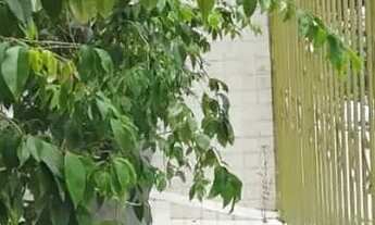 Imagem 7: VENDO CASA NA BATISTA CAMPOS COM 3/4 SUÍTES