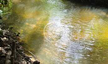 Imagem 3: Hidrolândia - Chácara de 20.000 m² codigo: 267675