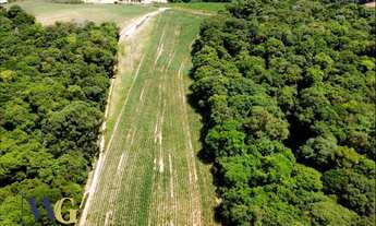 Imagem 4: Terreno Rural para Venda em Campo Largo, Colônia Balbino Cunha