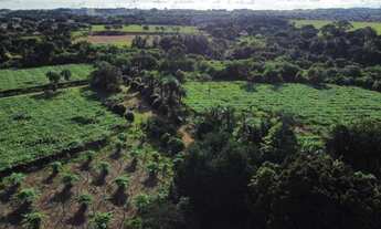 Imagem 5: Fazenda em Goiânia