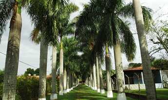 Imagem 2: LINDA CHÁCARA - BAIRRO AMERICANA- TATUÍ/SP