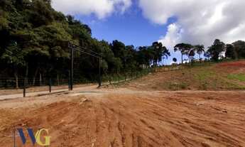 Imagem 3: Terreno Rural para Venda em Campo Largo, Itaqui de Cima