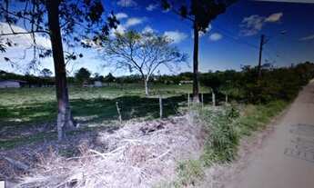 Imagem 4: Porto Alegre - Terreno Padrão - Lageado