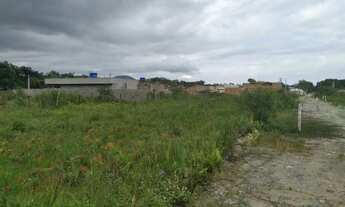 Imagem 2: Ubatuba - Terreno Padrão - Praia da Maranduba