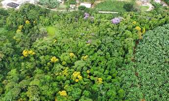 Imagem 6: Chácara à Venda em Massaranduba na Localidade do Segundo Braço