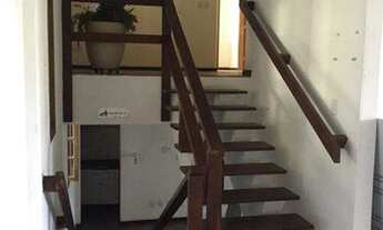 Imagem 5: Salvador - Casa Padrão - Caminho das árvores