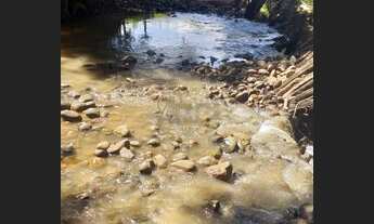 Imagem 6: Vende-se uma fazendinha de 13.31 hectares a 30km de moc