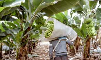 Imagem: Vendo Sítio em Baixo Guandu