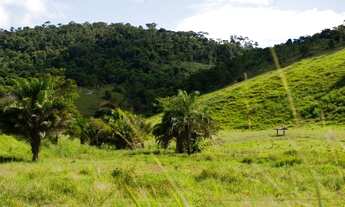 Imagem 4: Imóvel Rural a Venda em Iguai-BA 95 hect - R$1,2 milhão