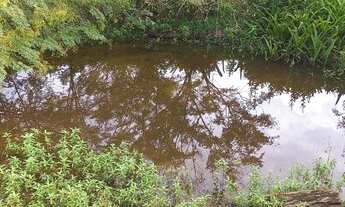 Imagem 3: LINDA CHÁCARA EM TAQUARA