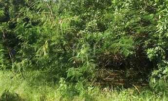 Imagem 5: Area para Venda - 0m², 0 dormitórios, Navegantes