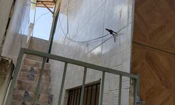 Imagem 4: Vendo 02 Casas Casa com 2 dormitórios