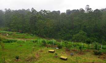 Imagem 7: Apartamento com 2 dormitórios para alugar, 49 m² por R$ 2.100,00/mês - Parque Continental