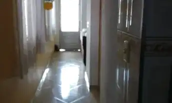 Imagem 4: CASA VELOSO OSASCO