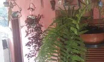 Imagem 2: Alugo Casa na Beira da Rua