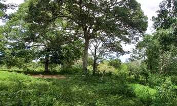 Imagem 5: URGENTE!!! Oportunidade Fazenda 2.362 ha abaixo da avaliação