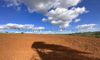 Imagem 4: Fazenda com 40 alqueires, região de Avaré - SP (Nogueira Imóveis Rurais