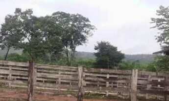 Imagem 4: Fazenda à Venda, 5.593ha² Por R$ 11.000.000 - área Rural - Floriano/pi