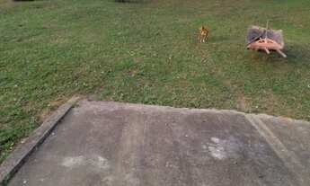 Imagem 7: Vendo chácara 21 mil metros em contenda