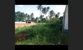 Imagem 5: Próximo ao Broma 13,00X37,00 e. 8,00X37,60