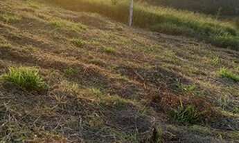 Imagem: 09o- Seu terreno está aqui