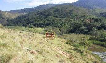 Imagem 6: Fazenda com 4 dormitórios à venda, 6292222 m² por R$ 12.500.000,00 - Parque Residencial Ir