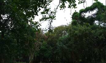 Imagem 2: Terreno para Venda em Embu das Artes, Jardim Colibri