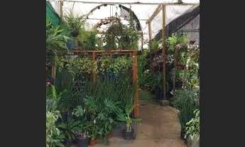 Imagem 4: VENDO PONTO COMERCIAL NO CENTRO DE LONDRINA