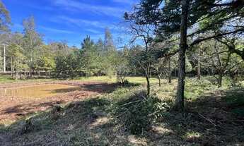 Imagem 3: Sítio Com Açude Em Condomínio Fechado. ROB:61