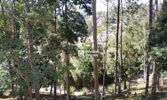 Imagem 3: Uma verdadeira Chácara em área urbana com 3 dormitórios à venda, 185 m² por R$ 980.000,00