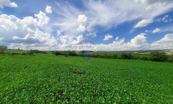 Imagem 4: Chácara à venda, 57476 m² por R$ 2.500.000,00 - Gleba Ribeirão Pinguim - Maringá/PR