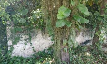 Imagem: Terreno, Venda, Itaipu, Niterói