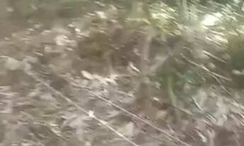 Imagem 3: Vendo terreno na estrada de Pindobal/Alter