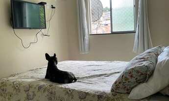 Imagem 6: Apartamento Chopm 1