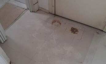 Imagem 15: Sobrado com 3 dormitórios, 174 m² - venda por R$ 720.000,00 ou aluguel por R$ 3.360,00/mês