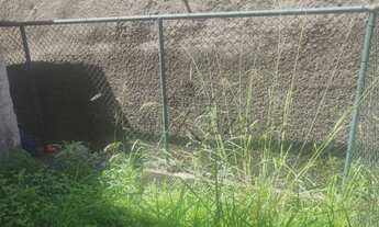 Imagem 3: Casa de condomínio para aluguel possui 58 metros quadrados com 2 quartos