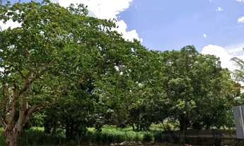 Imagem 4: Vendo terreno Park way SMPW