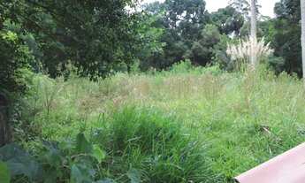 Imagem 5: Terreno com 3.492,58m² , à venda, no bairro Atuba em Curitiba