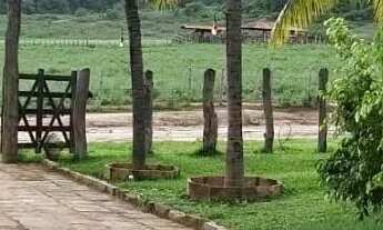 Imagem 2: Fazenda para Venda em Andaraí, Centro, 9 dormitórios, 1 suíte, 1 banheiro
