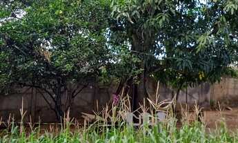 Imagem 7: Chácara/ Terreno Morada Nova