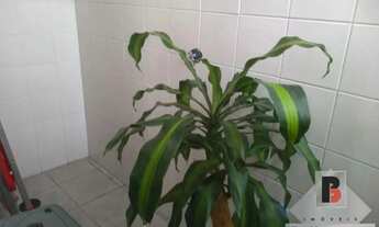 Imagem 3: Sobrado Comercial / Residencial á Venda na Mooca, 6 Salas , 4 Banheiros