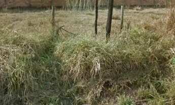 Imagem: Terreno / Lote / 467m² - Jardim Eldorado