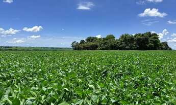 Imagem: R$200 Milhões Fazenda de 4.862 ha em TO