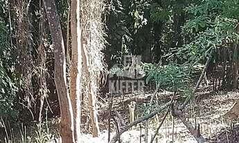 Imagem 8: Terreno à venda, 951 m² por R$ 290.000,00 - Itaipu - Niterói/RJ